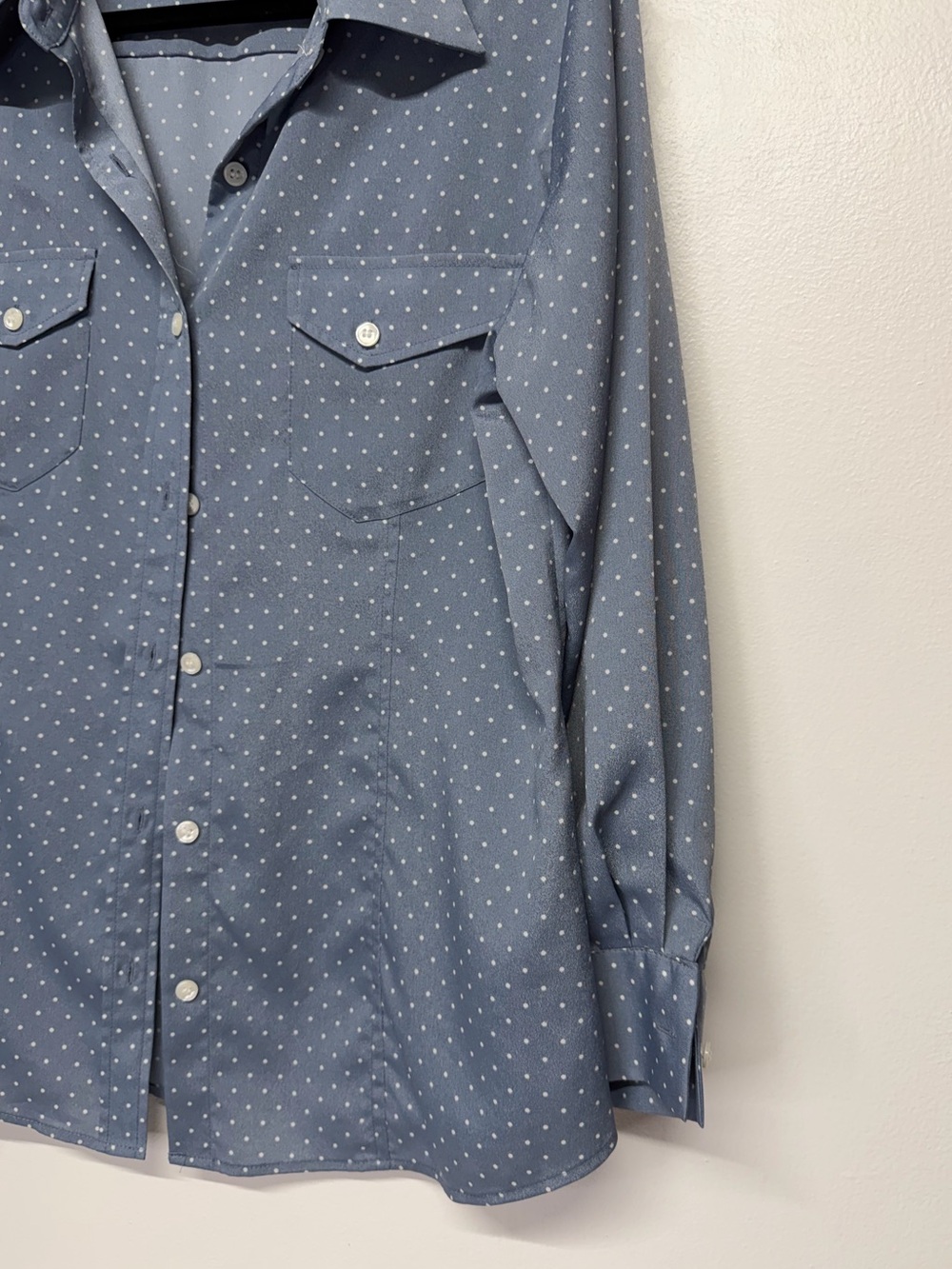 Pendleton Blue Dot-Print Button-Up Shirt - Picture 3 of 7